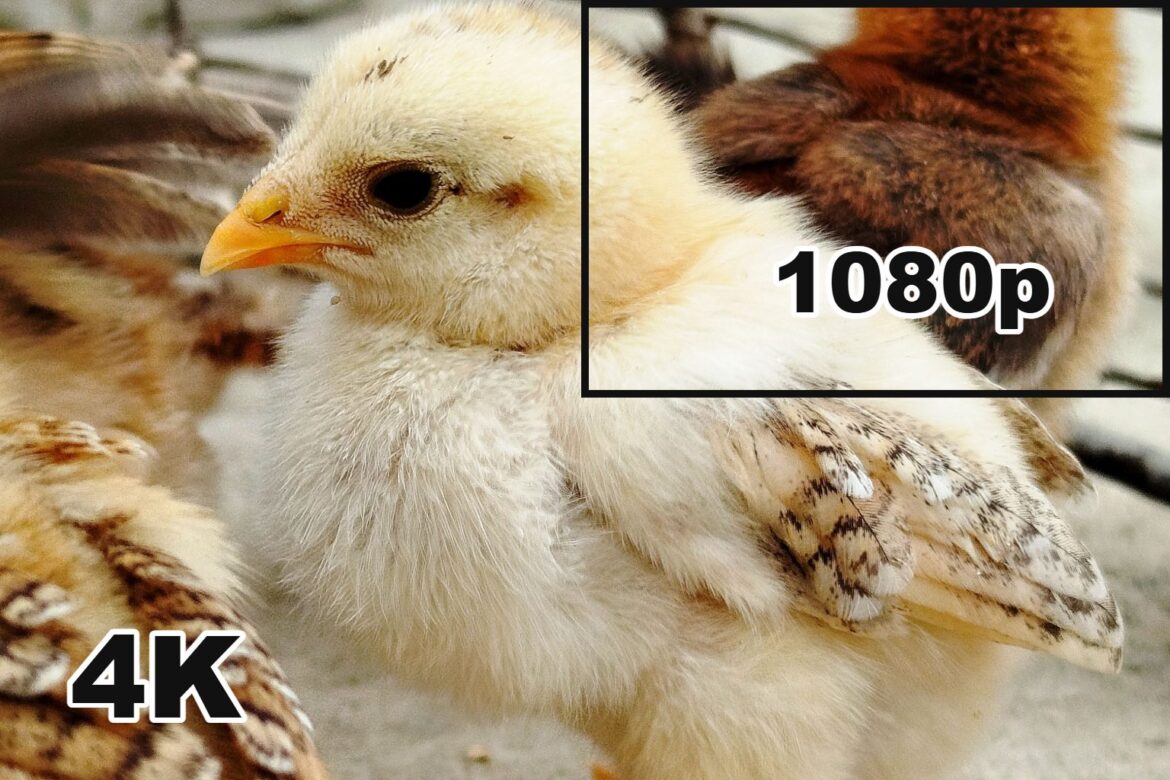 4k vs 1080p